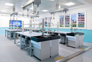 虛擬實驗室在計算機軟硬件及輔助設備零售中的核心特點